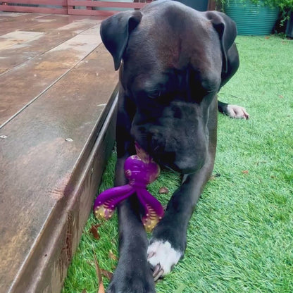 Tough Nylon Chew Toy for Powerful Chewers